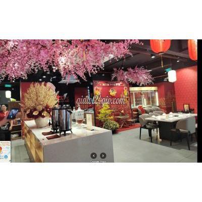 Tuyển Dụng Quận 10 - Hồ Chí Minh