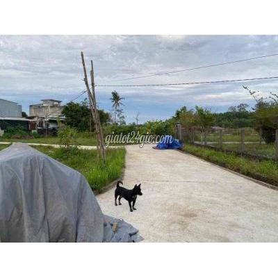 Đất Thổ Cư Thăng Bình - Quảng Nam