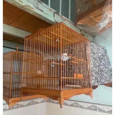 Đồ Dùng Cho Thú Cưng Tân Bình - Hồ Chí Minh
