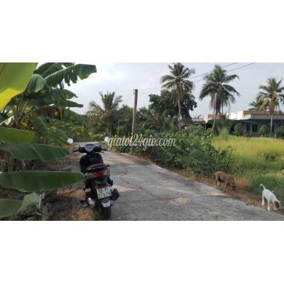 Đất Thổ Cư Bến Lức - Long An