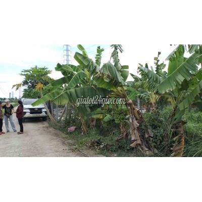 Đất Thổ Cư Bến Lức - Long An