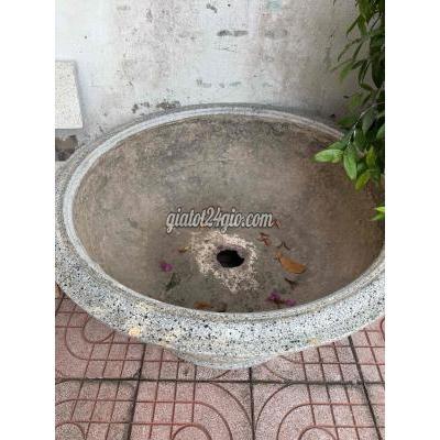 Cây Cảnh Cũ Biên Hòa - Đồng Nai