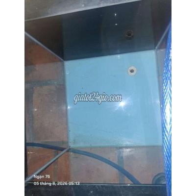 Đồ Dùng Cho Thú Cưng Cũ Thuận An - Bình Dương