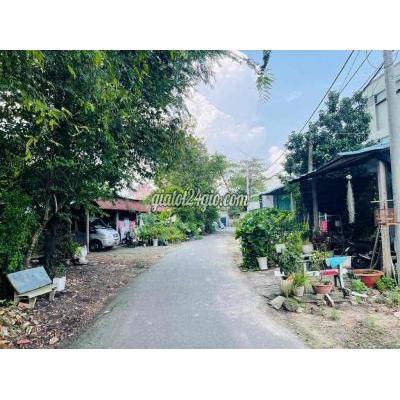 Đất Thổ Cư Củ Chi - Hồ Chí Minh
