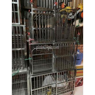 Đồ Dùng Cho Thú Cưng Cũ Quận 8 - Hồ Chí Minh