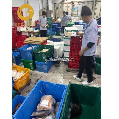 Tuyển Dụng Quận 8 - Hồ Chí Minh