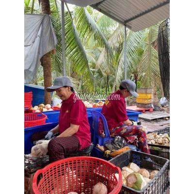 Tuyển Dụng Giồng Trôm - Bến Tre