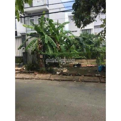 Đất Thổ Cư Bình Chánh - Hồ Chí Minh