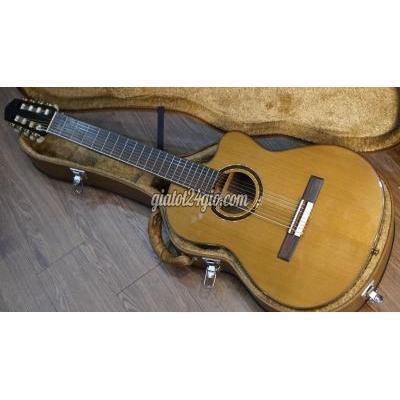 Nhạc Cụ Quận Gò Vấp - Hồ Chí Minh Một Em Guitar Classic 8 Dây Nhạc Cụ Quận Gò Vấp - Hồ Chí Minh Một Em Guitar Classic 8 Dây