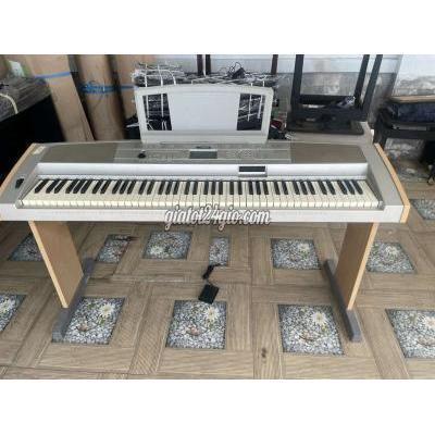 Nhạc Cụ Thành Phố Thủ Đức - Hồ Chí Minh Piano Yamaha Dgx500 Nhật Zin Nhạc Cụ Thành Phố Thủ Đức - Hồ Chí Minh Piano Yamaha Dgx500 Nhật Zin