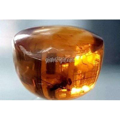 Phụ Kiện Thời Trang Quận Bình Thạnh - Hồ Chí Minh Hổ Phach Con Ruồi Thời Kỷ Nguyên Phấn Trắng Phụ Kiện Thời Trang Quận Bình Thạnh - Hồ Chí Minh Hổ Phach Con Ruồi Thời Kỷ Nguyên Phấn Trắng