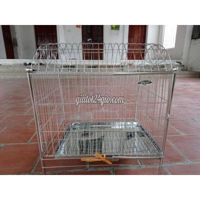 Phụ Kiện, Thức Ăn, Dịch Vụ Quận Hà Đông - Hà Nội Lồng Chó, Lồng Mèo Vòm Hoa Inox Phụ Kiện, Thức Ăn, Dịch Vụ Quận Hà Đông - Hà Nội Lồng Chó, Lồng Mèo Vòm Hoa Inox