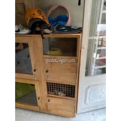 Phụ Kiện, Thức Ăn, Dịch Vụ Thành Phố Thủ Đức - Hồ Chí Minh Chuồng Mèo Phụ Kiện, Thức Ăn, Dịch Vụ Thành Phố Thủ Đức - Hồ Chí Minh Chuồng Mèo