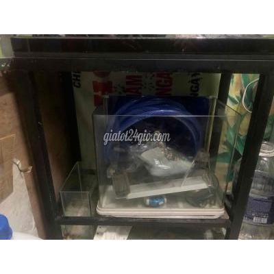 Phụ Kiện, Thức Ăn, Dịch Vụ Quận 1 - Hồ Chí Minh Cần Thanh Lý Hồ Nuôi Cá Kiểng Đầy Đủ Dụng Cụ Phụ Kiện, Thức Ăn, Dịch Vụ Quận 1 - Hồ Chí Minh Cần Thanh Lý Hồ Nuôi Cá Kiểng Đầy Đủ Dụng Cụ