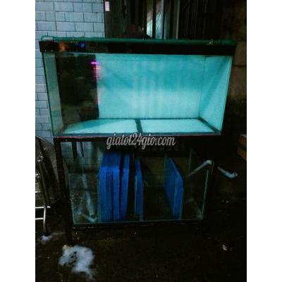 Phụ Kiện, Thức Ăn, Dịch Vụ Quận 8 - Hồ Chí Minh Hô 1mx40x50 Full 10ly Phụ Kiện, Thức Ăn, Dịch Vụ Quận 8 - Hồ Chí Minh Hô 1mx40x50 Full 10ly