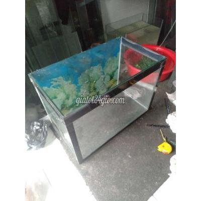 Phụ Kiện, Thức Ăn, Dịch Vụ Quận 8 - Hồ Chí Minh Hồ 65cm Full 8li Phụ Kiện, Thức Ăn, Dịch Vụ Quận 8 - Hồ Chí Minh Hồ 65cm Full 8li