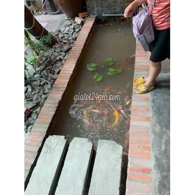 Sang Nhượng Mặt Bằng Kinh Doanh Quận 12 - Hồ Chí Minh Sang Quán Cf Q12 Mặt Bằng Bán Cf Chỉ 2tr Sang Nhượng Mặt Bằng Kinh Doanh Quận 12 - Hồ Chí Minh Sang Quán Cf Q12 Mặt Bằng Bán Cf Chỉ 2tr