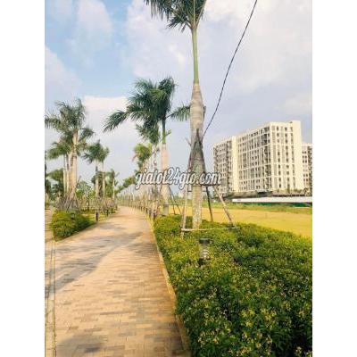Thuê Căn Hộ Chung Cư Huyện Bến Lức - Long An Giỏ Hàng Cho Thuê 1pn - 2pn. Hoàn Thiện. Free Phí. Bãi Đỗ Ôtô Thuê Căn Hộ Chung Cư Huyện Bến Lức - Long An Giỏ Hàng Cho Thuê 1pn - 2pn. Hoàn Thiện. Free Phí. Bãi Đỗ Ôtô