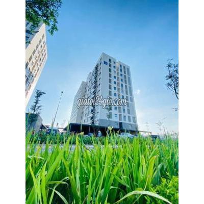 Thuê Căn Hộ Chung Cư Huyện Bến Lức - Long An Giỏ Hàng Cho Thuê 1pn - 2pn. Hoàn Thiện. Free Phí. Bãi Đỗ Ôtô Thuê Căn Hộ Chung Cư Huyện Bến Lức - Long An Giỏ Hàng Cho Thuê 1pn - 2pn. Hoàn Thiện. Free Phí. Bãi Đỗ Ôtô