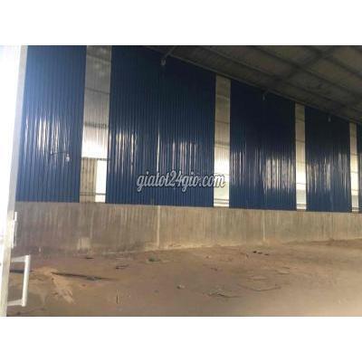 Thuê Mặt Bằng Kinh Doanh Thành Phố Thuận An - Bình Dương Cho Thuê Xưởng 700 M Thuận An Bình Dương Thuê Mặt Bằng Kinh Doanh Thành Phố Thuận An - Bình Dương Cho Thuê Xưởng 700 M Thuận An Bình Dương
