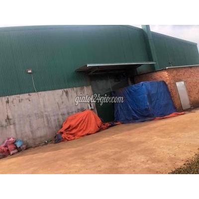 Thuê Mặt Bằng Kinh Doanh Huyện Krông Pắc - Đắk Lắk Cho Thuê Kho Sầu Riêng 1750m2 Mặt Tiền Ql.26 Tt Phước An - Krông Pắc Thuê Mặt Bằng Kinh Doanh Huyện Krông Pắc - Đắk Lắk Cho Thuê Kho Sầu Riêng 1750m2 Mặt Tiền Ql.26 Tt Phước An - Krông Pắc