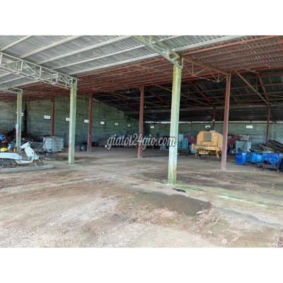 Thuê Mặt Bằng Kinh Doanh Huyện Krông Pắc - Đắk Lắk Cho Thuê Kho Trung Tâm Thị Trấn Phước An Krong Pắc