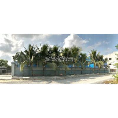 Thuê Mặt Bằng Kinh Doanh Huyện Đức Hòa - Long An Bán Nhà Xưởng Mới Xây Dựng Thuê Mặt Bằng Kinh Doanh Huyện Đức Hòa - Long An Bán Nhà Xưởng Mới Xây Dựng