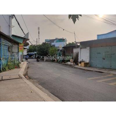 Thuê Mặt Bằng Kinh Doanh Huyện Hóc Môn - Hồ Chí Minh Nhà Xưởng Đường Nhựa Lớn Gần Chợ Chữ S Thuê Mặt Bằng Kinh Doanh Huyện Hóc Môn - Hồ Chí Minh Nhà Xưởng Đường Nhựa Lớn Gần Chợ Chữ S