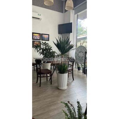 Thuê Mặt Bằng Kinh Doanh Thành Phố Thủ Đức - Hồ Chí Minh Sang Nhượng Quán Cà Phê Thuê Mặt Bằng Kinh Doanh Thành Phố Thủ Đức - Hồ Chí Minh Sang Nhượng Quán Cà Phê