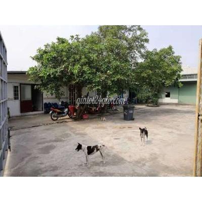 Thuê Mặt Bằng Kinh Doanh Huyện Bình Chánh - Hồ Chí Minh Kho Xưởng 2.500m2 Hạ Bình 750kva Container Thuê Mặt Bằng Kinh Doanh Huyện Bình Chánh - Hồ Chí Minh Kho Xưởng 2.500m2 Hạ Bình 750kva Container