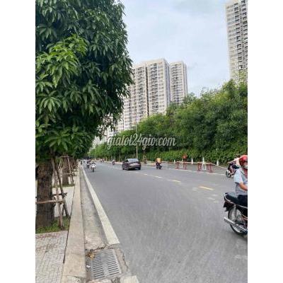 Thuê Mặt Bằng Kinh Doanh Thành Phố Thủ Đức - Hồ Chí Minh Mặt Bằng Kinh Doanh Vinhomes Q9 Thuê Mặt Bằng Kinh Doanh Thành Phố Thủ Đức - Hồ Chí Minh Mặt Bằng Kinh Doanh Vinhomes Q9