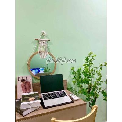 Thuê Phòng Trọ Quận Bình Thạnh - Hồ Chí Minh Cho Thuê Phòng Ngô Tất Tố Đúng Hình Đúng Giá 100% Thuê Phòng Trọ Quận Bình Thạnh - Hồ Chí Minh Cho Thuê Phòng Ngô Tất Tố Đúng Hình Đúng Giá 100%