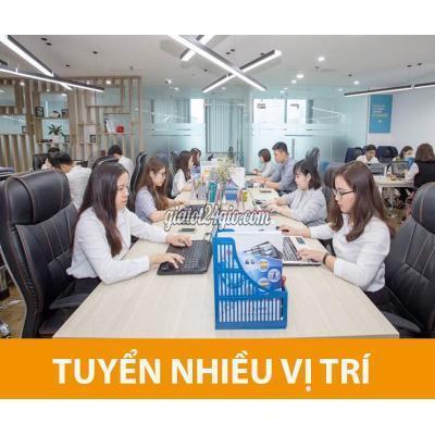 Việc Làm Quận Hải Châu - Đà Nẵng Làm Việc Văn Phòng - Có Lương Cố Định Việc Làm Quận Hải Châu - Đà Nẵng Làm Việc Văn Phòng - Có Lương Cố Định
