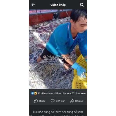 Việc Làm Huyện Châu Thành - Kiên Giang Tuyển Nhân Viên Làm Thủy Sản Việc Làm Huyện Châu Thành - Kiên Giang Tuyển Nhân Viên Làm Thủy Sản