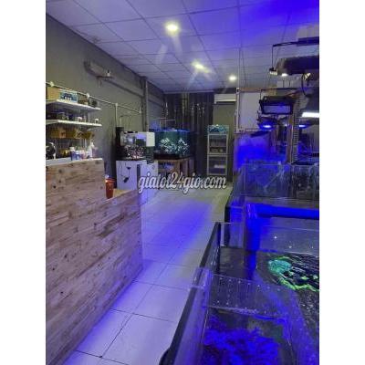 Việc Làm Thành Phố Thủ Đức - Hồ Chí Minh 01 Nhân Viên Kỹ Thuật - Chăm Sóc Cá Cảnh - Quận 9 Việc Làm Thành Phố Thủ Đức - Hồ Chí Minh 01 Nhân Viên Kỹ Thuật - Chăm Sóc Cá Cảnh - Quận 9