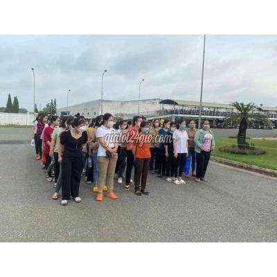 Việc Làm Quận 7 - Hồ Chí Minh Tuyển Nữ Thời Vụ Cty Tosok Việc Làm Quận 7 - Hồ Chí Minh Tuyển Nữ Thời Vụ Cty Tosok