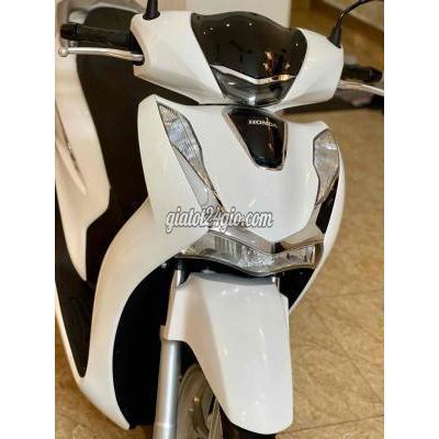 Xe Máy Quận Tân Phú - Hồ Chí Minh Shvn 125 2022 Bstp Chính Chủ Xe Máy Quận Tân Phú - Hồ Chí Minh Shvn 125 2022 Bstp Chính Chủ