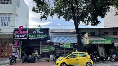 ali hoà cá cảnh - cửa hàng đồ cá cảnh