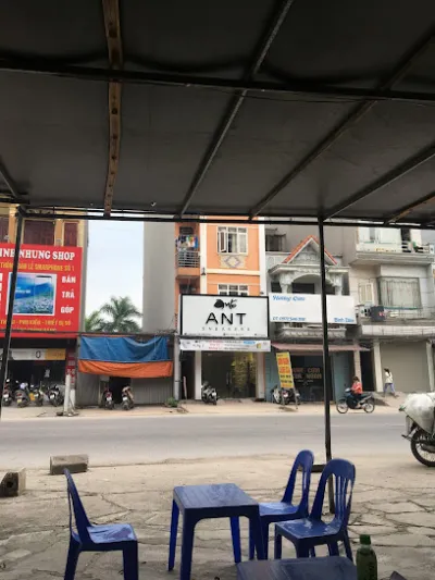 ant sneaker - cửa hàng giày dép