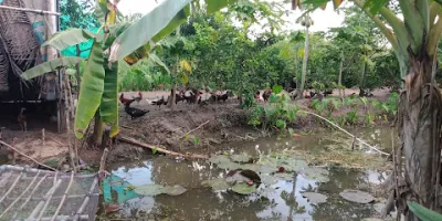 âp long hoa b - quán cà phê