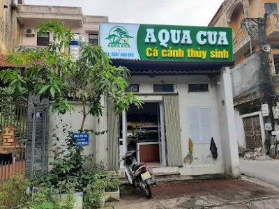 aqua cua - thủy sinh cá cảnh bắc ninh - cửa hàng cá cảnh
