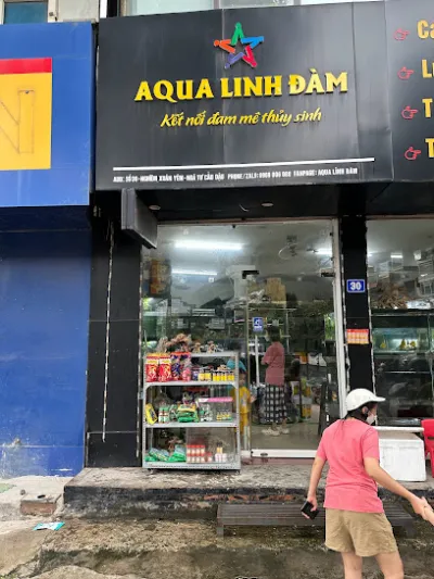 aqua linh đàm- cá cảnh, thủy sinh - cửa hàng đồ cá cảnh aqua linh đàm- cá cảnh, thủy sinh - cửa hàng đồ cá cảnh