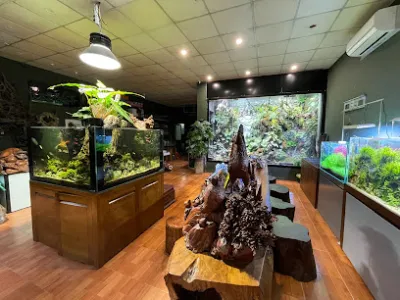 aqua minh long - cửa hàng cá cảnh