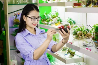 aquagarden - cửa hàng bán buôn cây cảnh