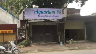 aquarium86 cá cảnh - thuỷ sinh - cửa hàng cá