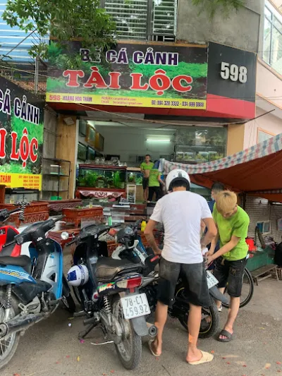 bể cá cảnh tài lộc - nhà cung cấp bể cá