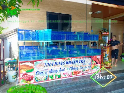 bể cá hoàng gia - nhà cung cấp bể cá