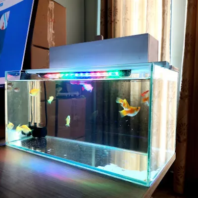 bể cá mini pt aqua - cung cấp trọn bộ bể cá mini đầy đủ phụ kiện - nhà cung cấp bể cá