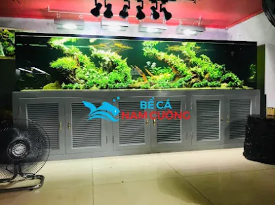 bể cá nam cường - nhà cung cấp bể cá