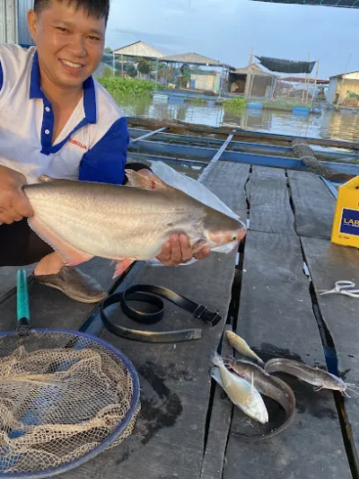 bè câu cá bé na - câu lạc bộ câu cá